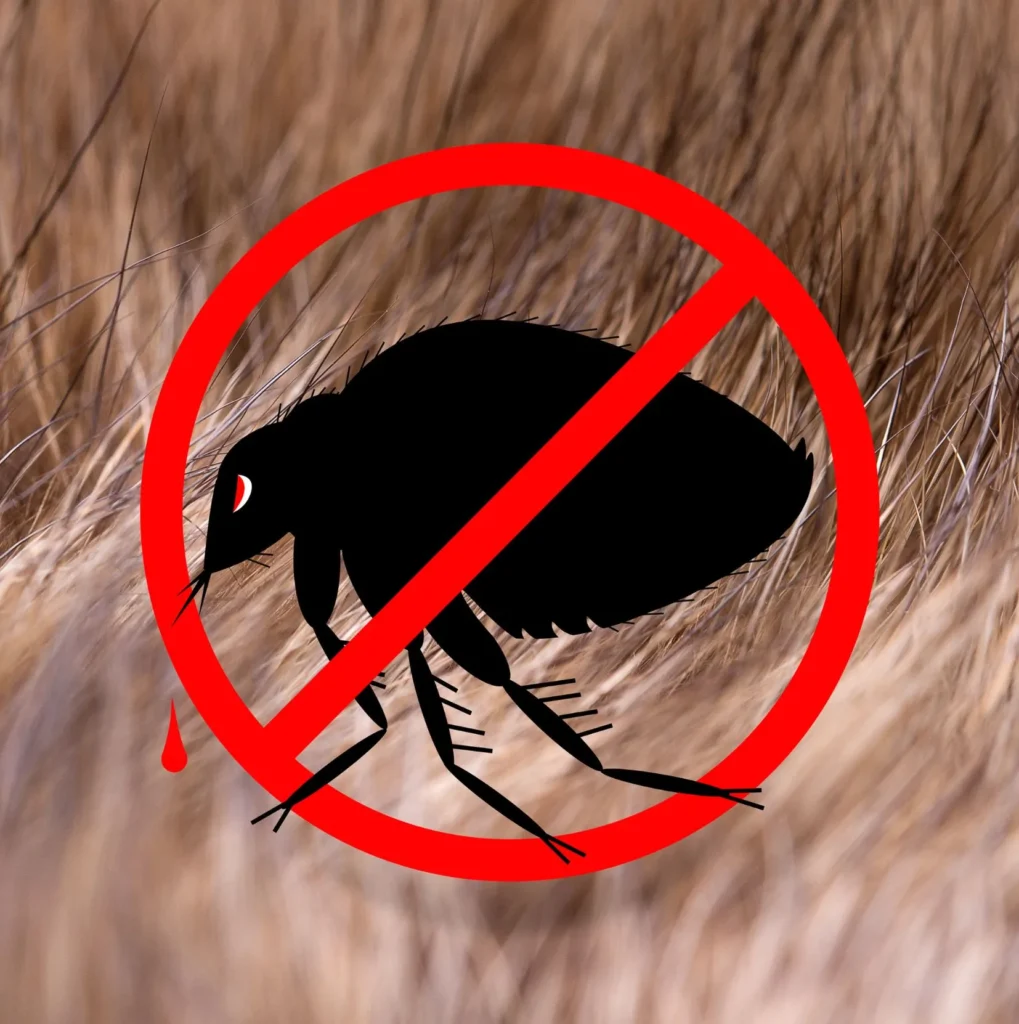 Why DIY Flea & Tick Treatments Fail